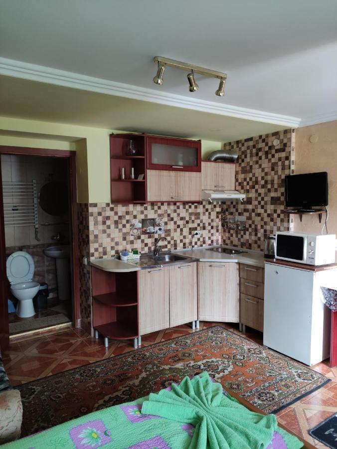 Квартира Студия С Отдельным Входом Truskavets Exterior foto
